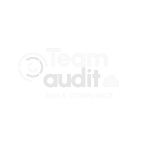 Team Audit